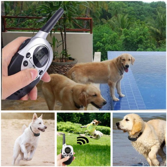 Waterproof Dog Training Collar with remote Rechargeable 1000 Yards for 2 Dogs
