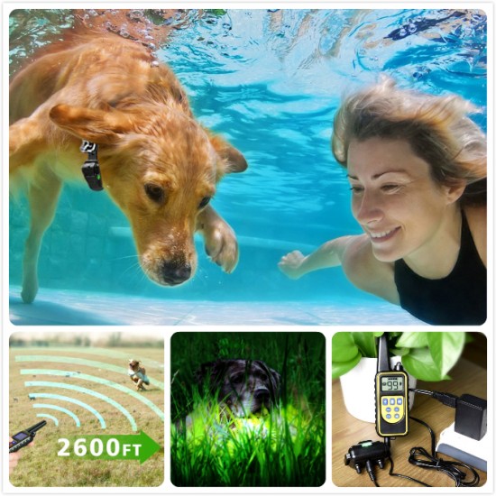 dog training collar 800 Yards remote rechargeable and waterproof dog trainer for 3 dogs
