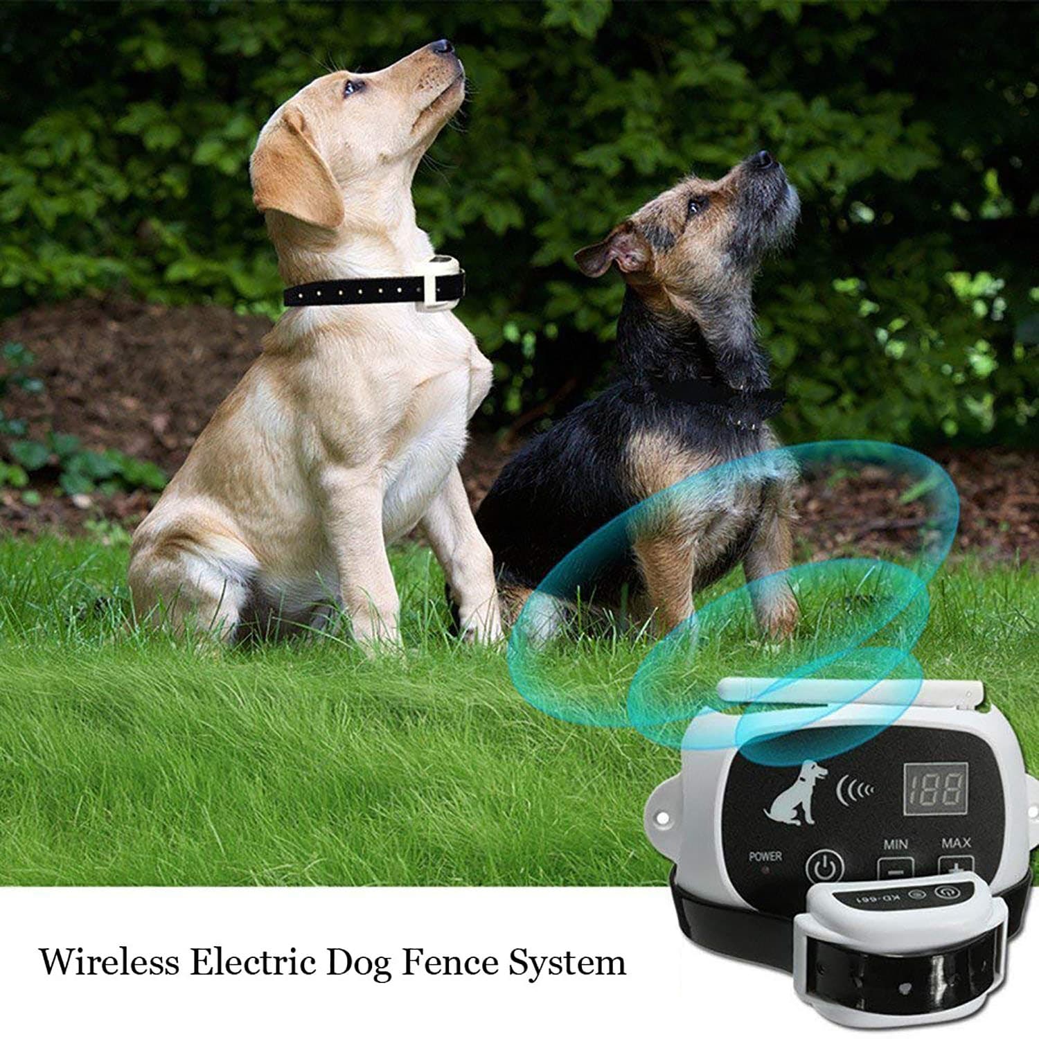 cloture anti fugue chien cloture electrique sans fil pour Chien avec 2 colliers anti fugue chien